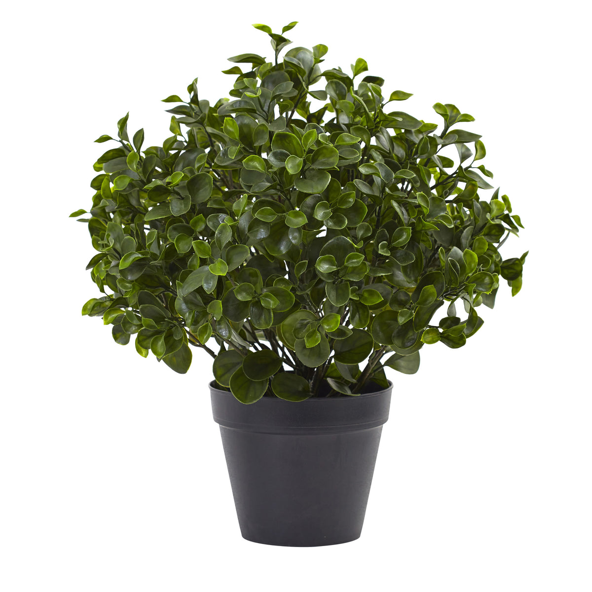 23" Peperomia Plant UV Resistant (Indoor/Outdoor) by Nearly Natural