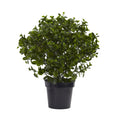 28" Peperomia Plant UV Resistant (Indoor/Outdoor) by Nearly Natural