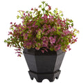 13" Sedum and Eucalyptus Plant with Planter by Nearly Natural