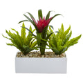 14" Bromeliad and Birdsnest in Rectangular Planter by Nearly Natural