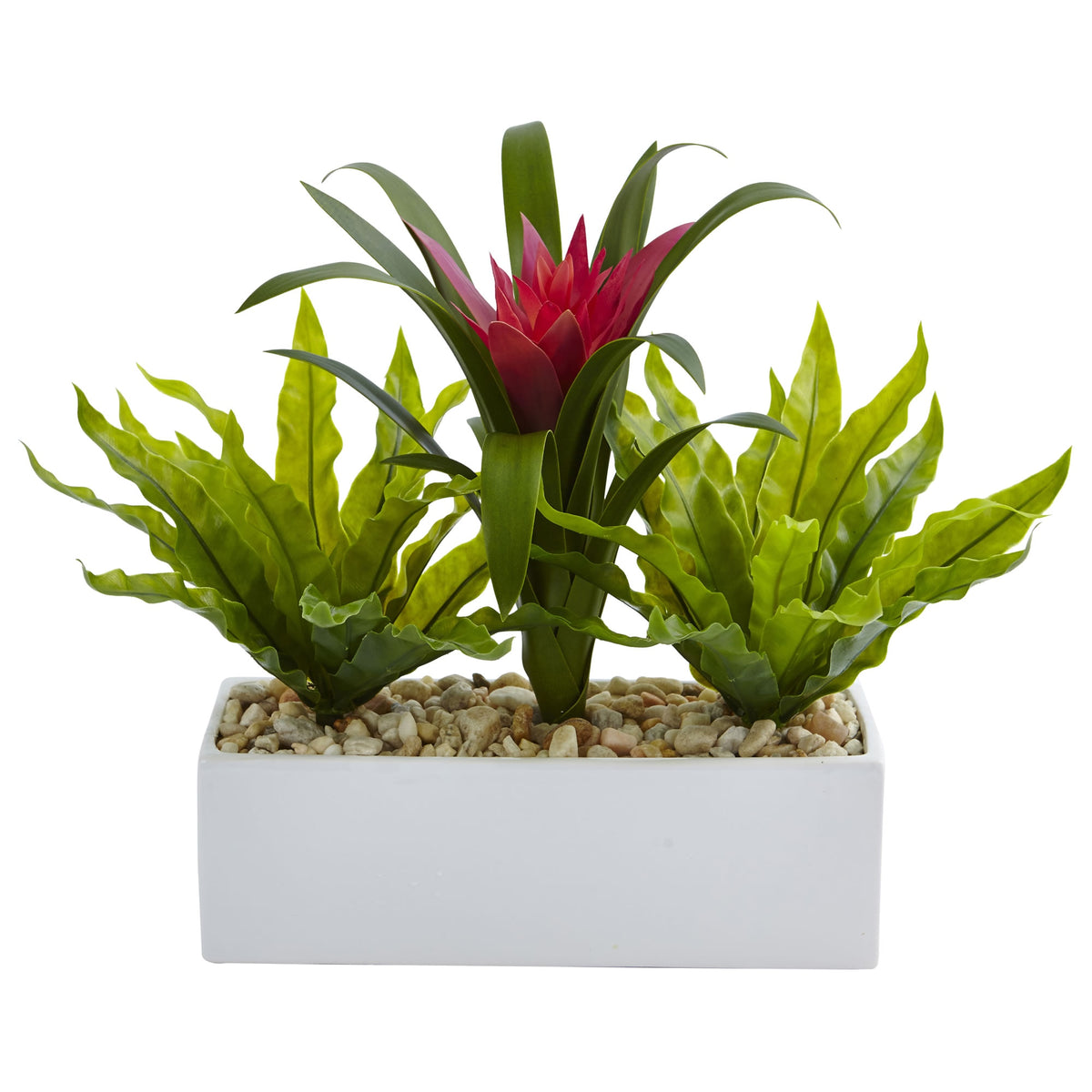 14" Bromeliad and Birdsnest in Rectangular Planter by Nearly Natural