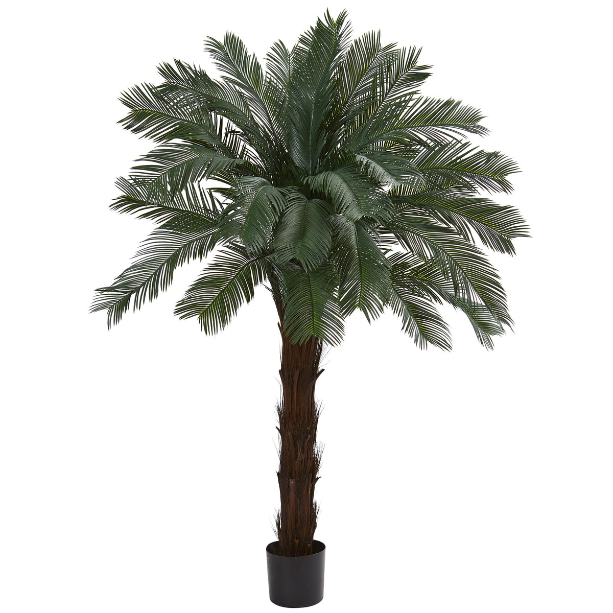 6' Cycas Tree UV Resistant (Indoor/Outdoor) by Nearly Natural