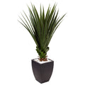 4.5' Spiked Agave in Black Planter (Indoor/Outdoor) by Nearly Natural