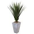 5' Spiked Agave in Cement Planter (Indoor/Outdoor) by Nearly Natural