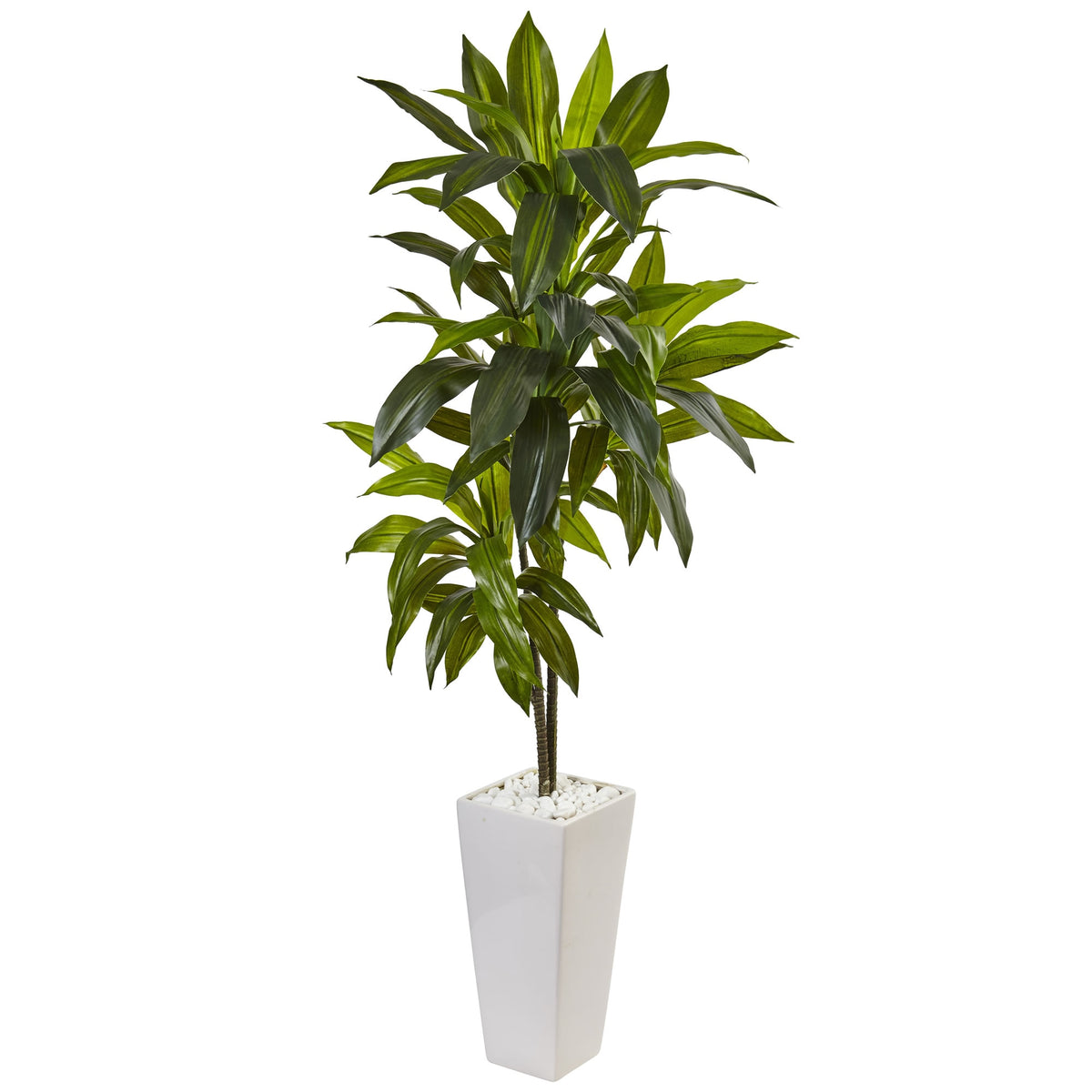 3' Dracaena Plant in White Tower Planter (Real Touch) by Nearly Natural
