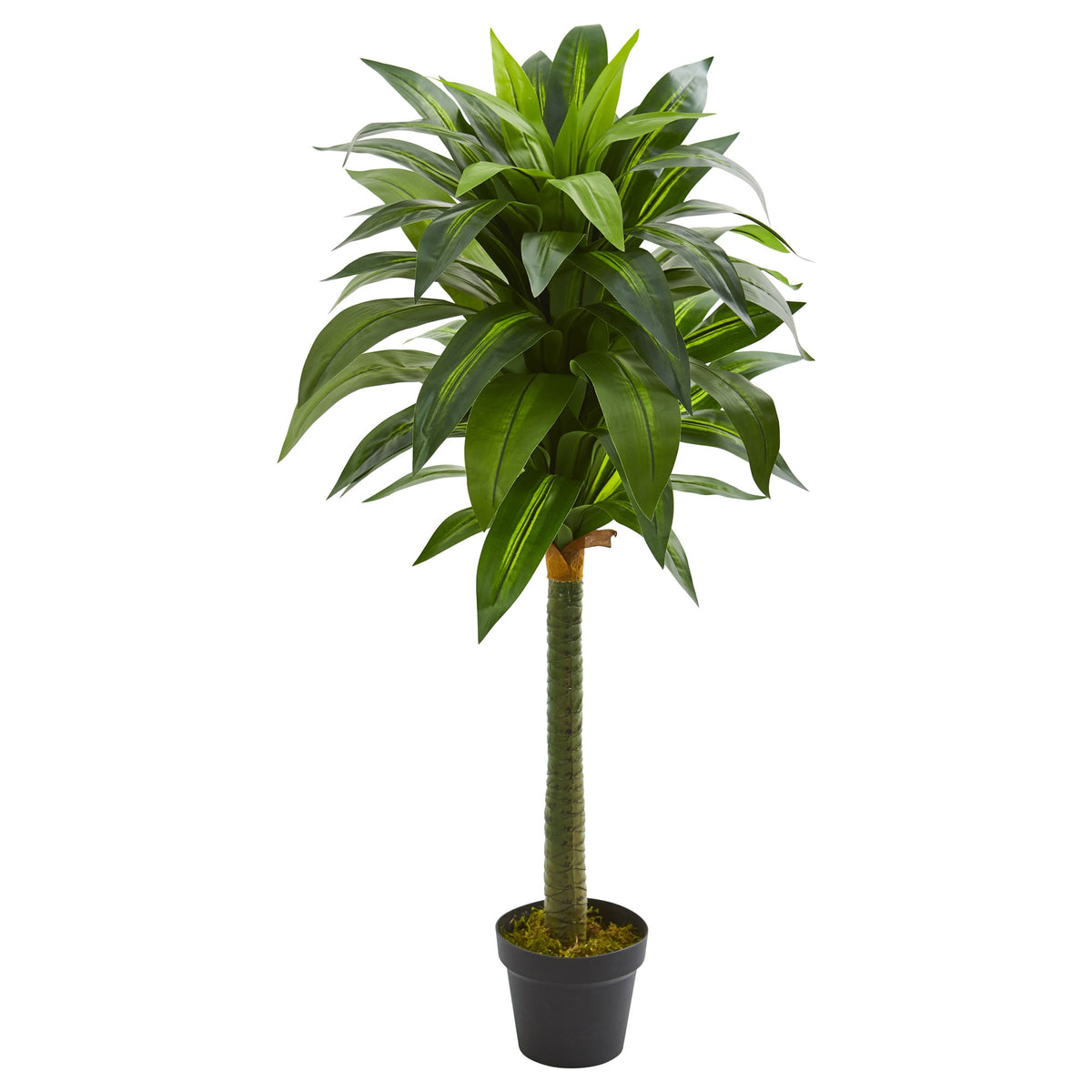 45" Dracaena Artificial Plant by Nearly Natural