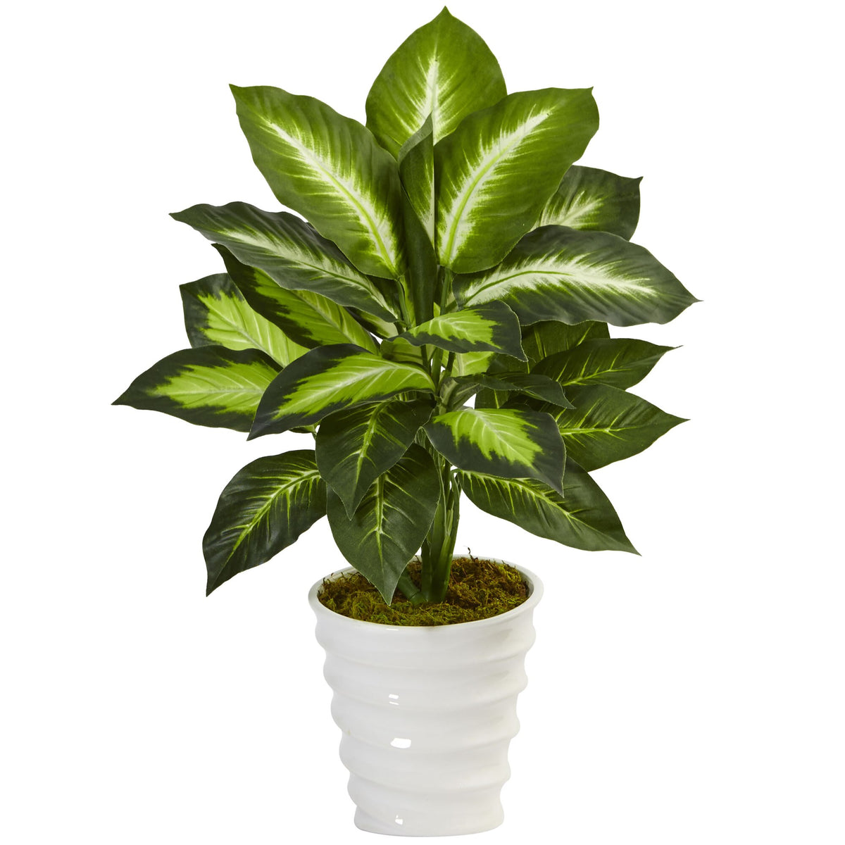 22" Dieffenbachia in Swirl Planter by Nearly Natural