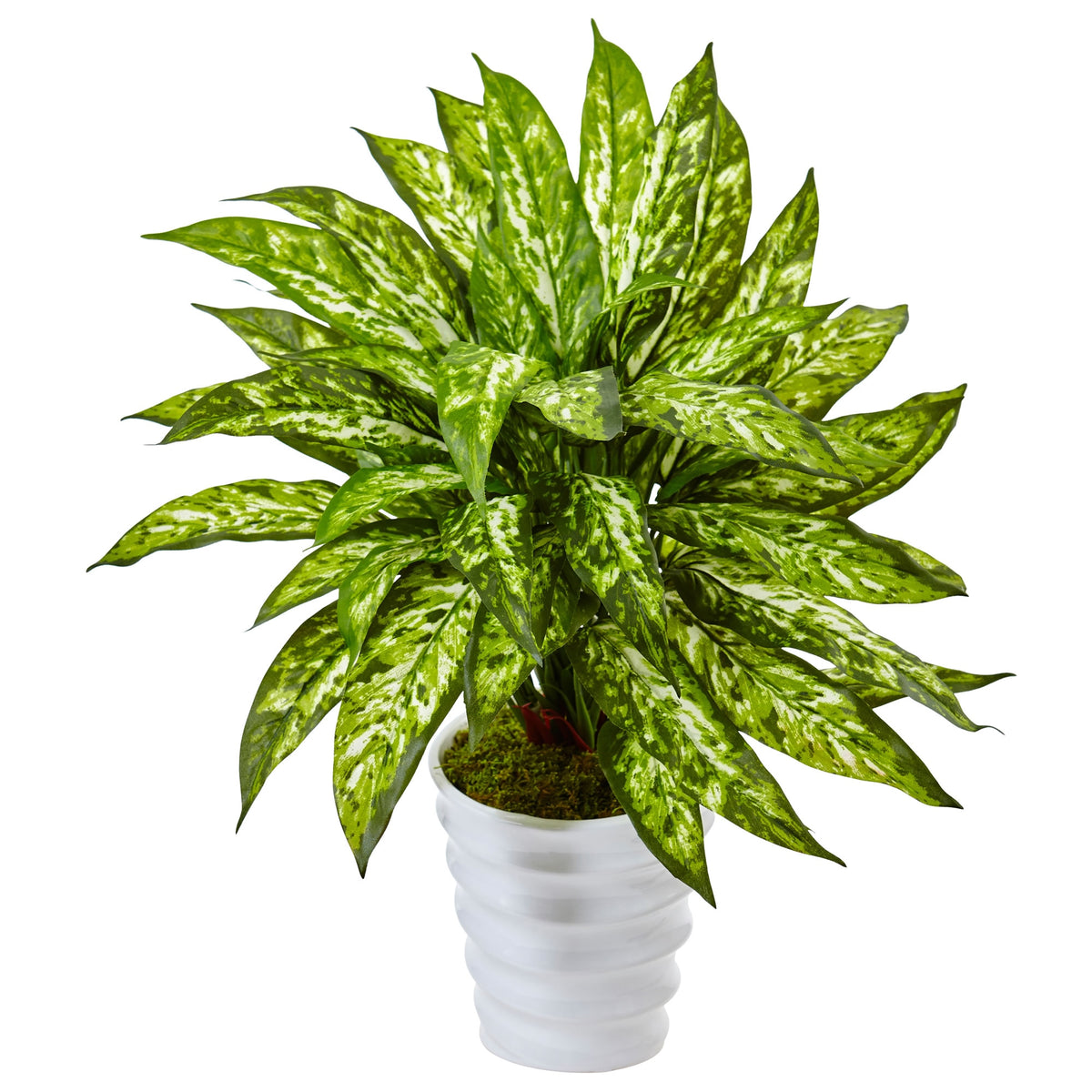21" Aglaonema in Swirl Planter by Nearly Natural