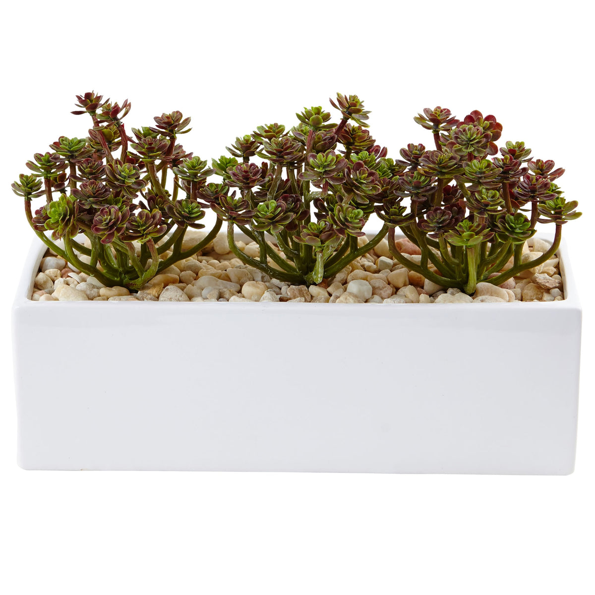 7.75" Sedum Succulent in Rectangular Planter by Nearly Natural