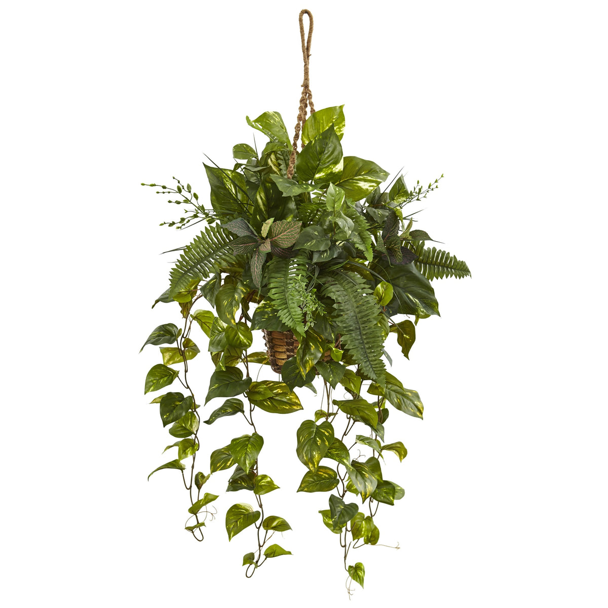 46" Mixed Pothos and Boston Fern in Hanging Basket by Nearly Natural