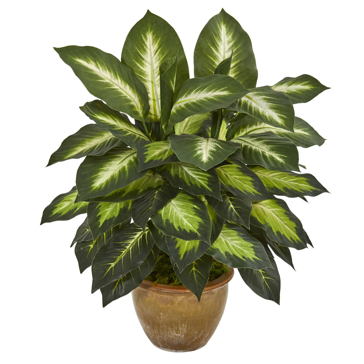 18" Dieffenbachia Artificial Plant in Ceramic Planter by Nearly Natural