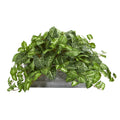 18" Nepthytis Artificial Plant in Stone Planter by Nearly Natural