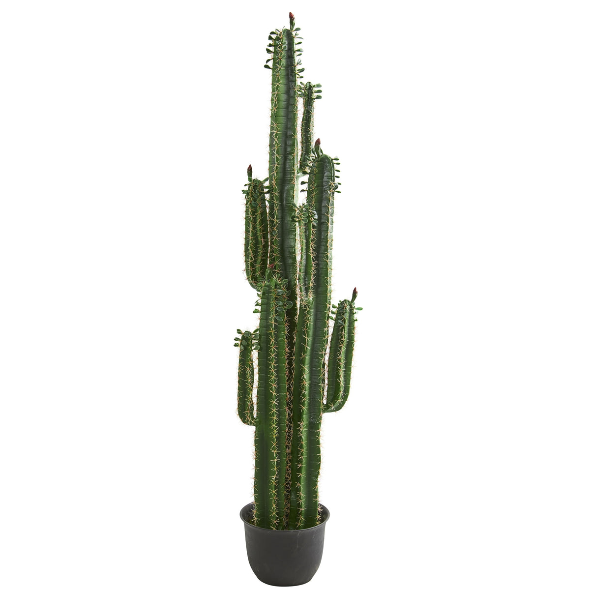 6.5' Cactus Artificial Plant by Nearly Natural