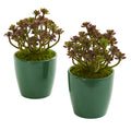 8" Sedum Artificial Plant in Green Planter (Set of 2) by Nearly Natural
