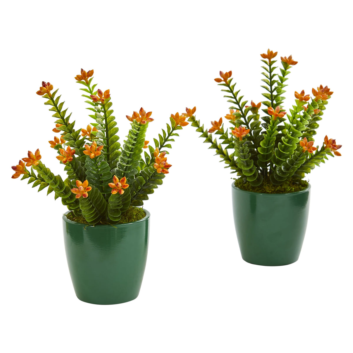 10" Sedum Succulent Plant in Green Planter (Set of 2) by Nearly Natural