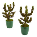 11" Succulent Artificial Plant in Green Planter (Set of 2) by Nearly Natural