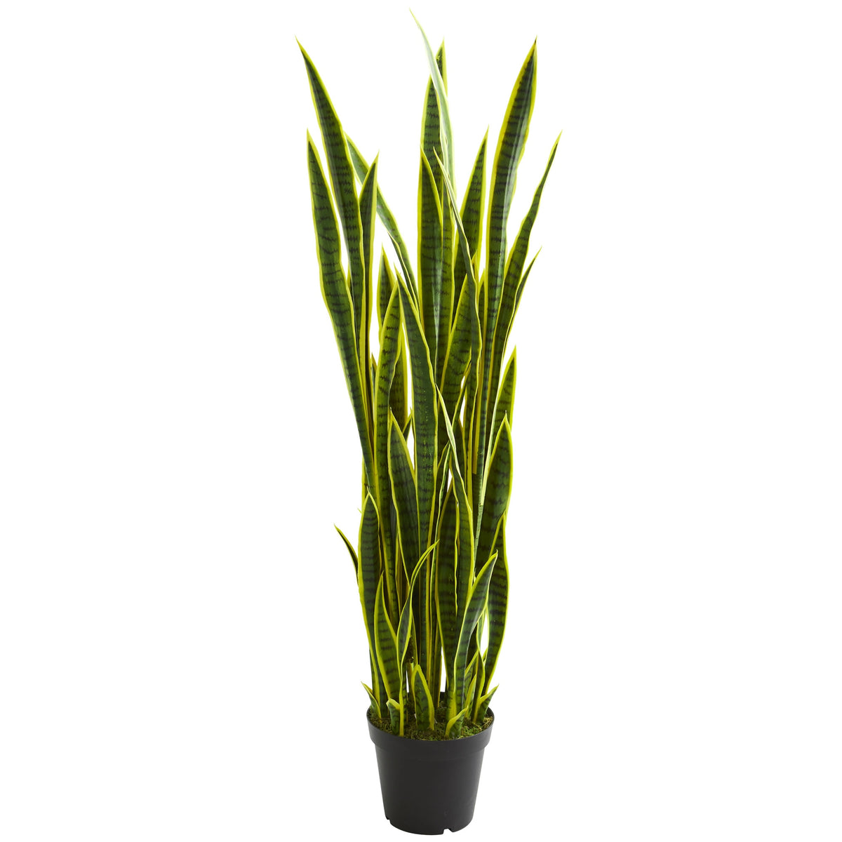 5' Sansevieria Artificial Plant by Nearly Natural