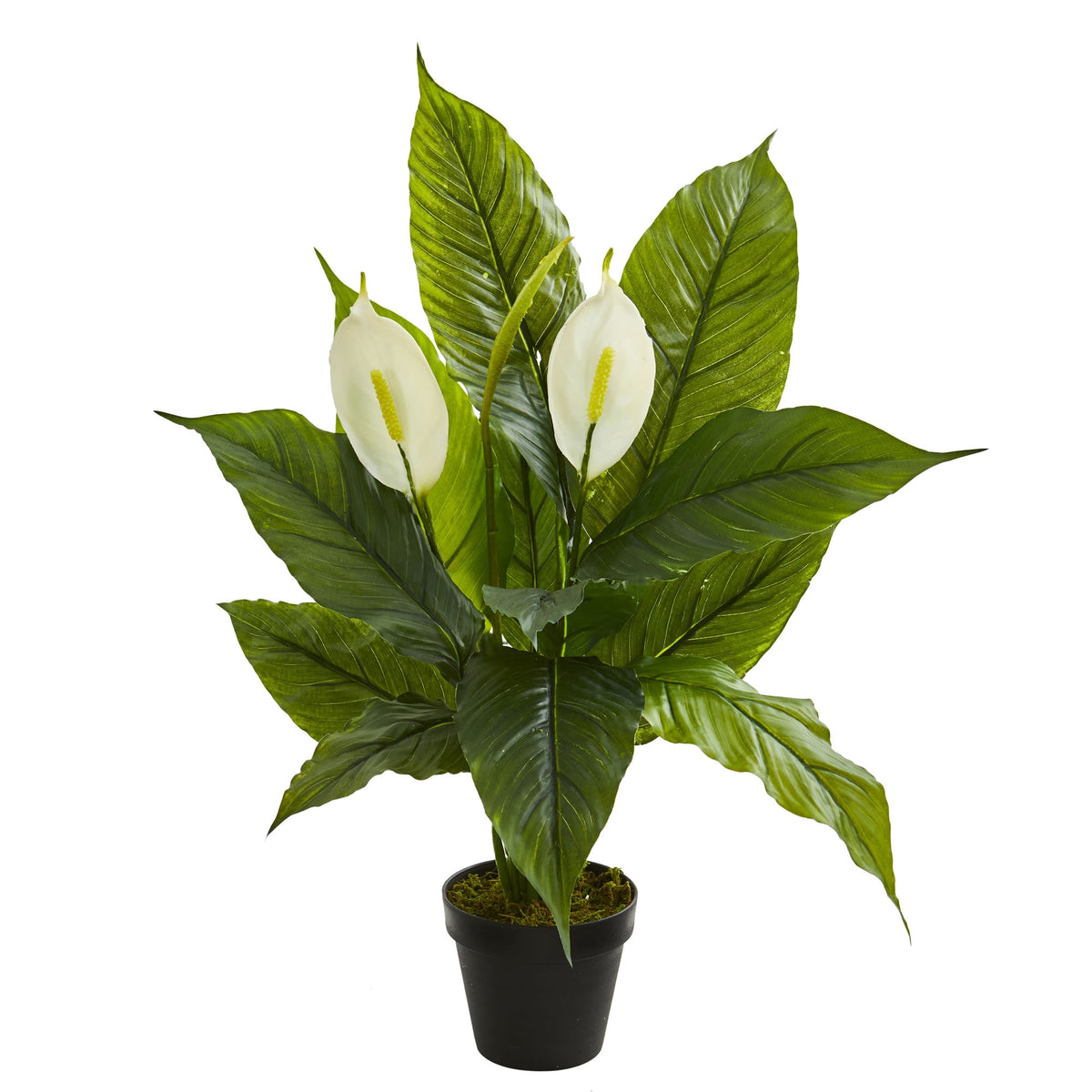 26" Spathiphyllum  Artificial Plant (Real Touch) by Nearly Natural