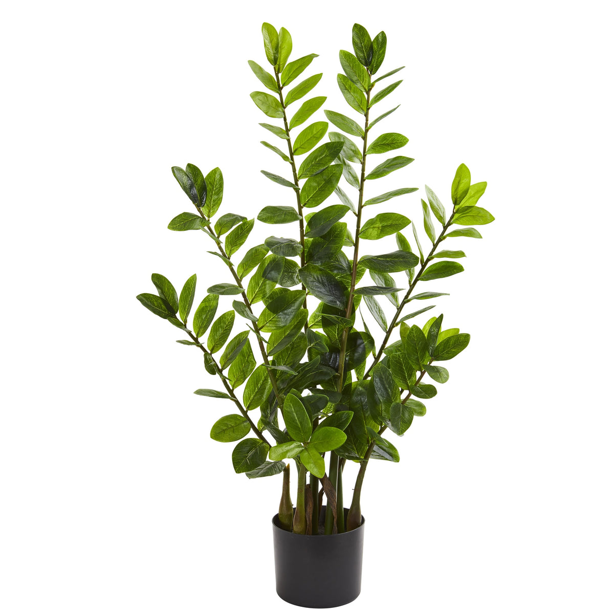 3' Zamioculcas Artificial Plant by Nearly Natural