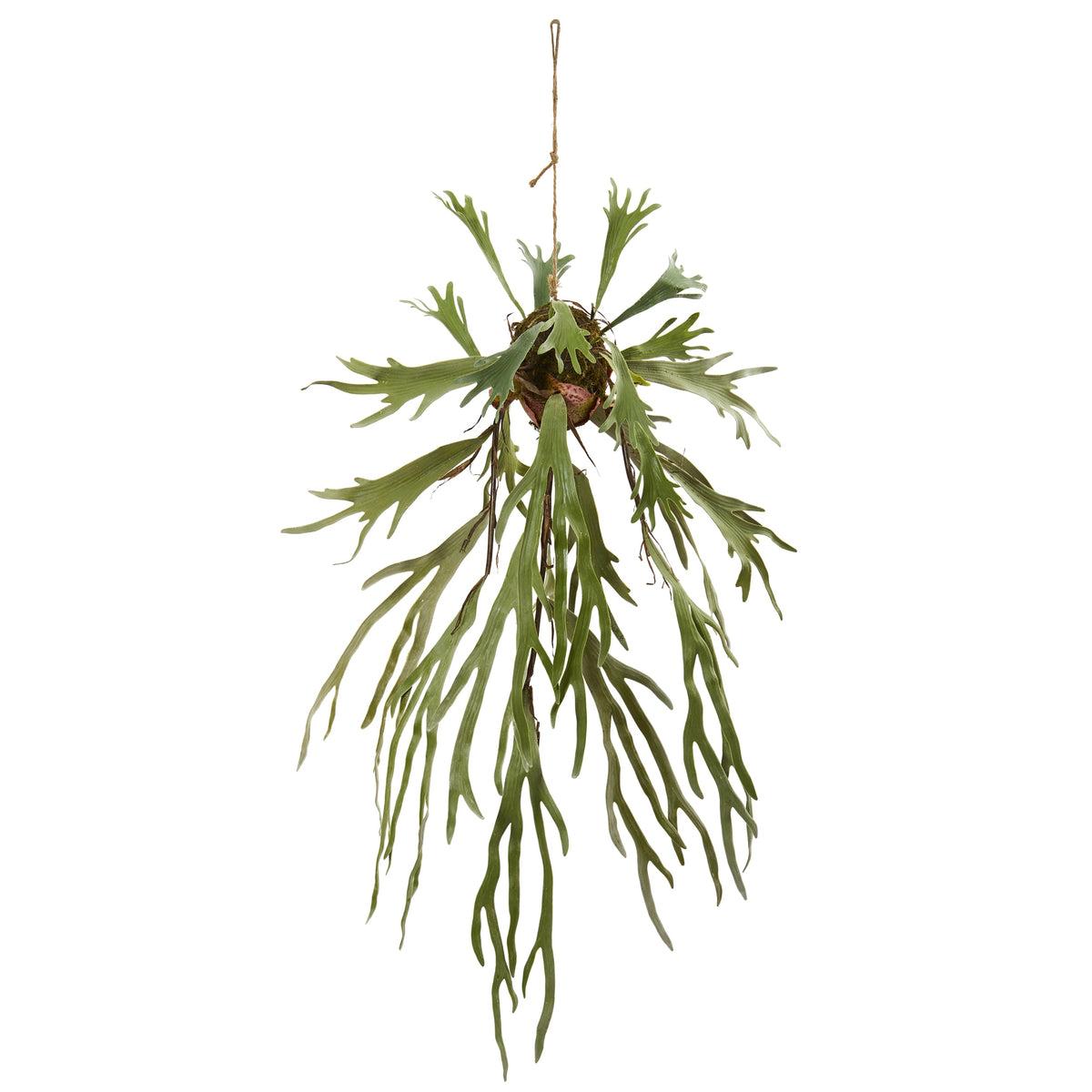 50" Staghorn Artificial Hanging Plant by Nearly Natural