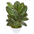 26" Maranta Artificial Plant in White Vase by Nearly Natural