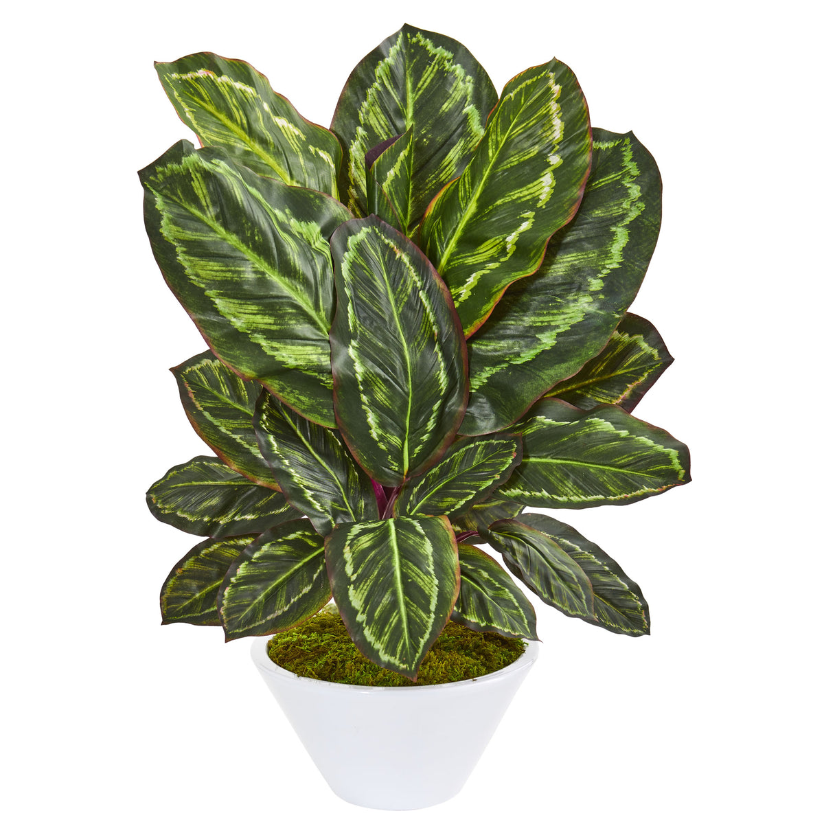 26" Maranta Artificial Plant in White Vase by Nearly Natural