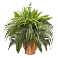23" Mixed Greens and Fern Plant in Terra Cotta Planter by Nearly Natural