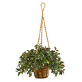 30" Mini Melon Plant in Hanging Basket UV Rest (Indr/Outdr) by Nearly Natural