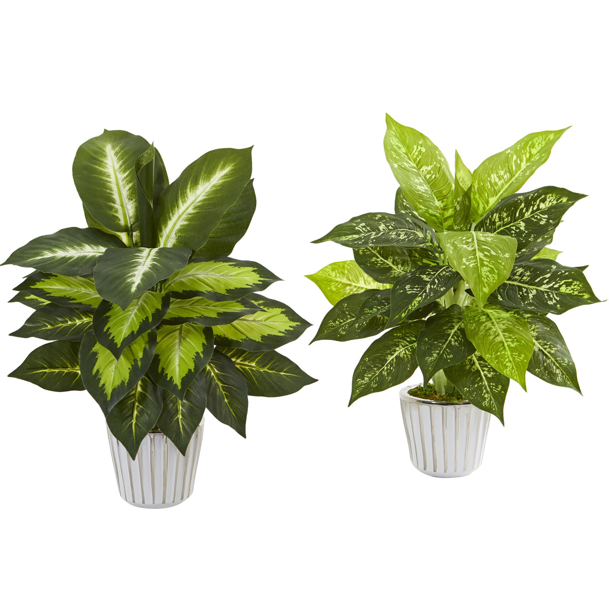 19" Dieffenbachia Artificial Plant in White Vase (Set of 2) by Nearly Natural