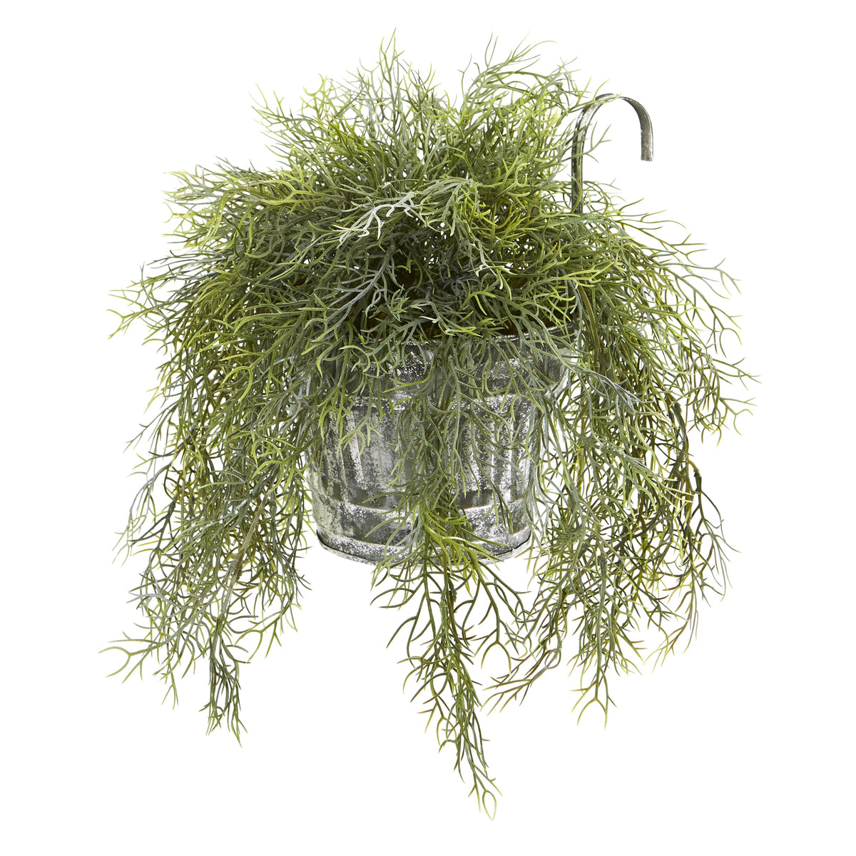 10" Tillandsia Moss Plant in Vintage Hanging Metal Pail by Nearly Natural