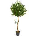 58" Olive Artificial Tree UV Resistant (Indoor/Outdoor) by Nearly Natural