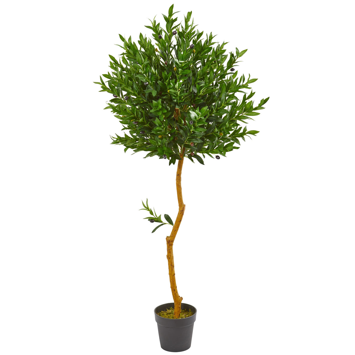 58" Olive Artificial Tree UV Resistant (Indoor/Outdoor) by Nearly Natural