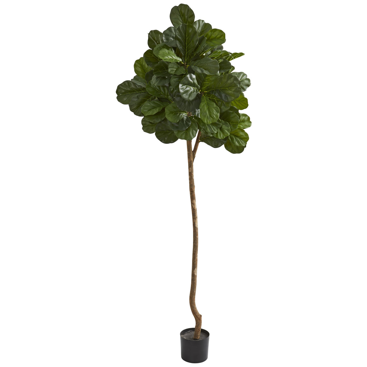 7' Fiddle leaf fig Artificial tree by Nearly Natural