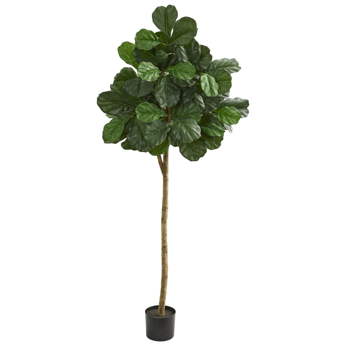 6' Fiddle Leaf Fig Artificial Tree by Nearly Natural