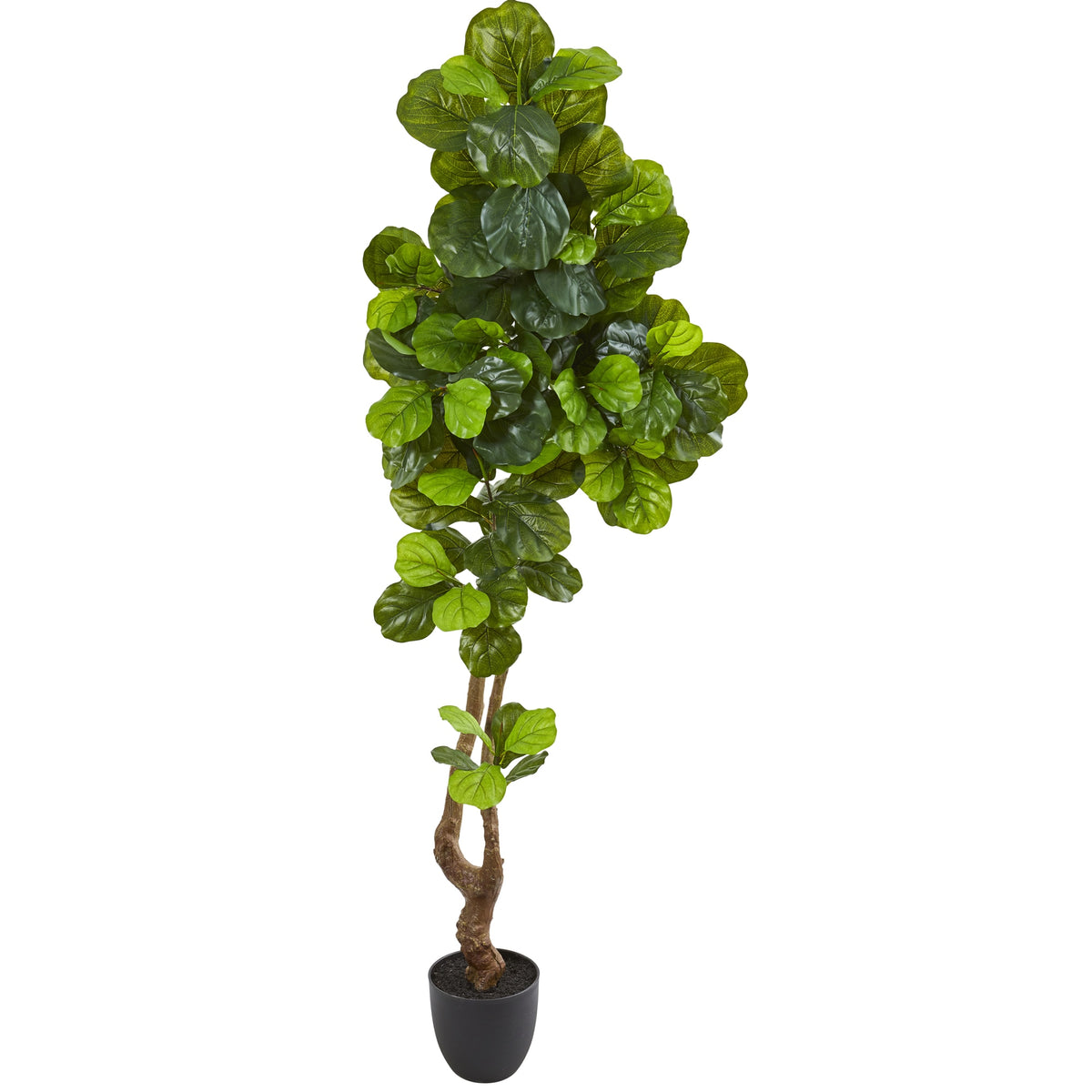 78" Fiddle Leaf Artificial Tree (Real Touch) by Nearly Natural