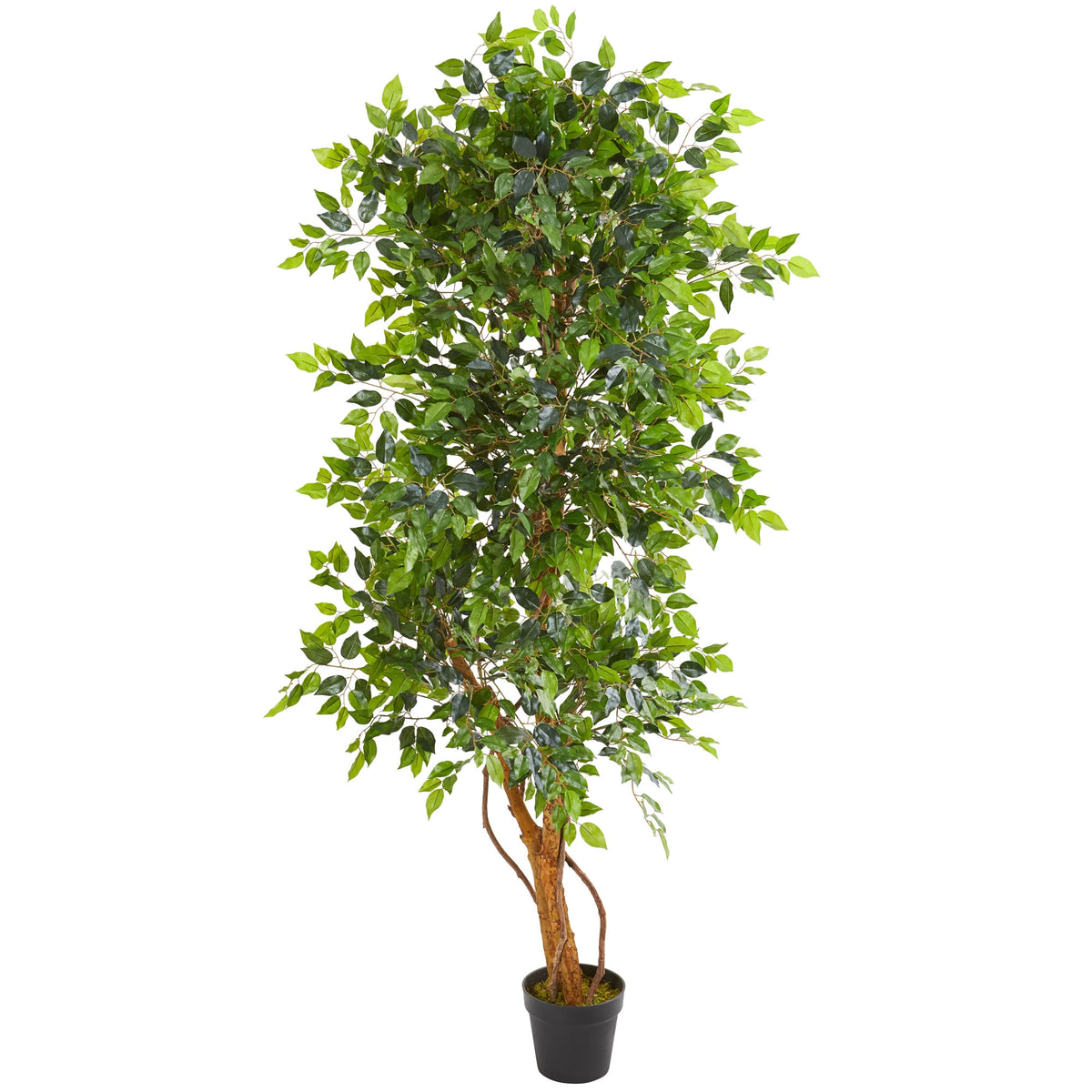 6' Elegant Ficus Artificial Tree by Nearly Natural