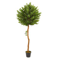 5.5' Olive Artificial Tree UV Resistant (Indoor/Outdoor) by Nearly Natural