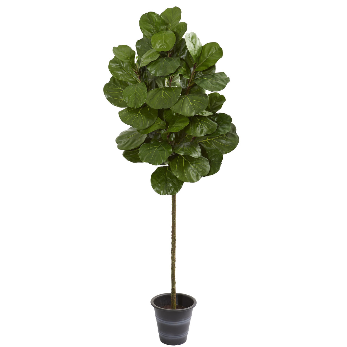 6.5' Fiddle Leaf Artificial Tree With Decorative Planter by Nearly Natural