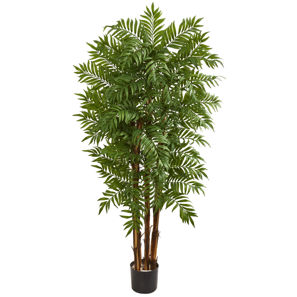 5.5' Parlour Artificial Palm Tree by Nearly Natural