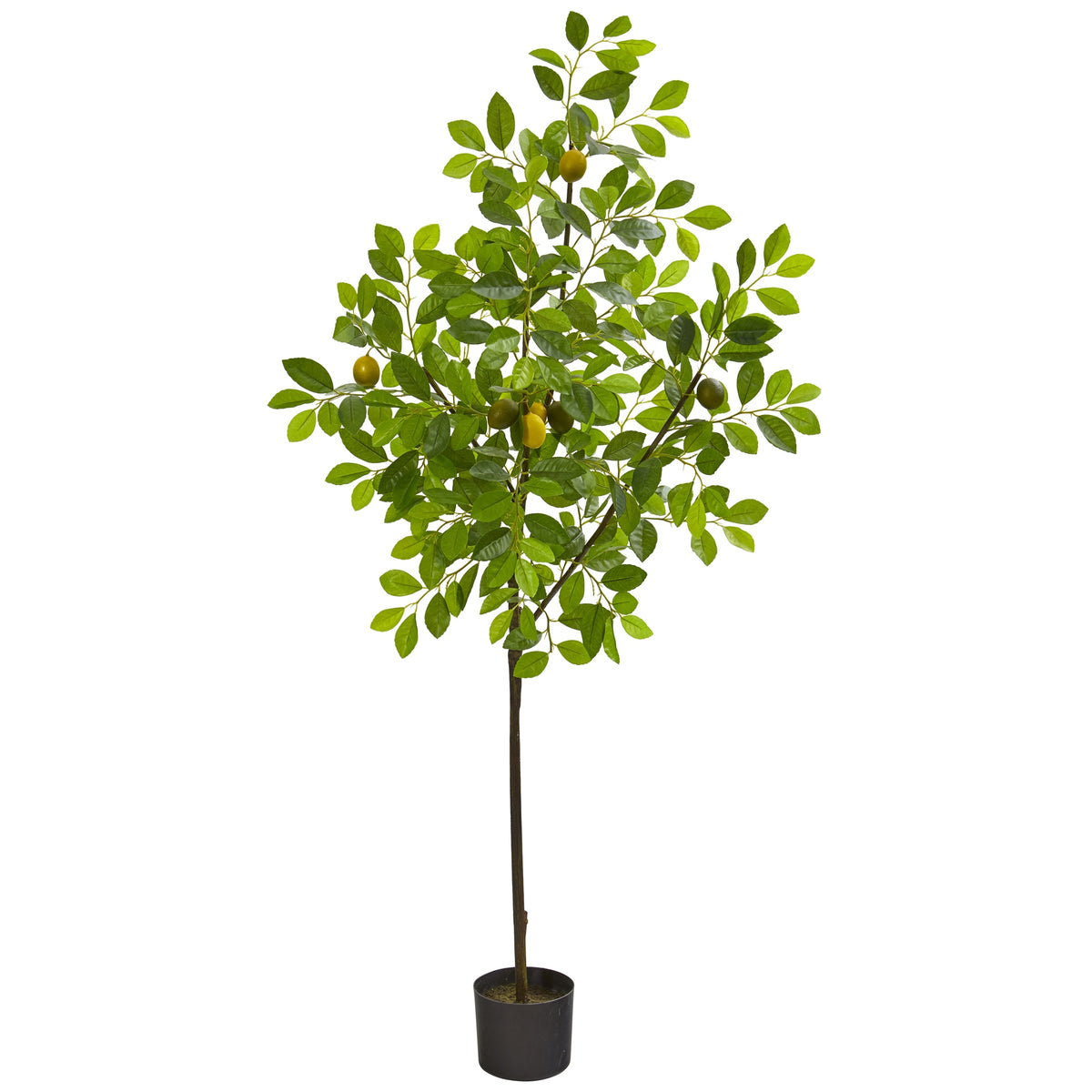 61" Lemon Artificial Tree by Nearly Natural