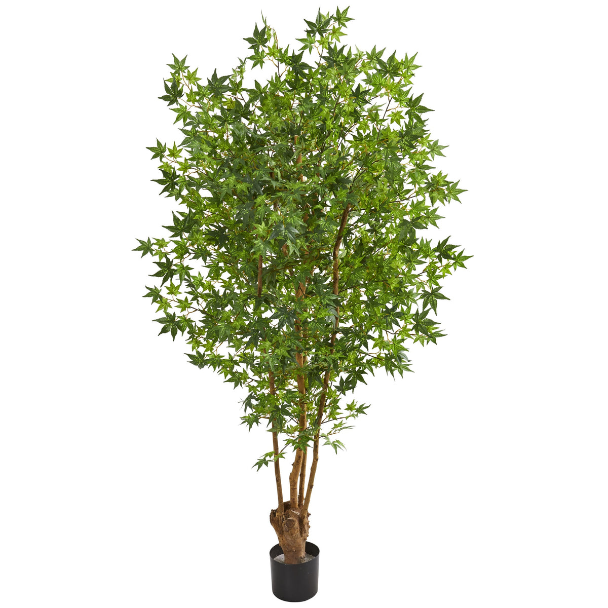6' Maple Artificial Tree by Nearly Natural