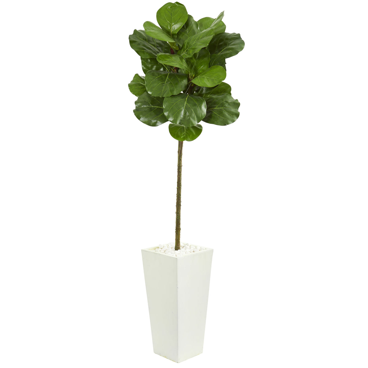 5.5' Fiddle Leaf Artificial Tree in White Tower Planter by Nearly Natural