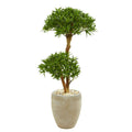 44" Bonsai Styled Podocarpus Tree in Sand Colored Planter by Nearly Natural