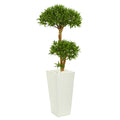 50" Bonsai Styled Podocarpus Artificial Tree in Planter by Nearly Natural