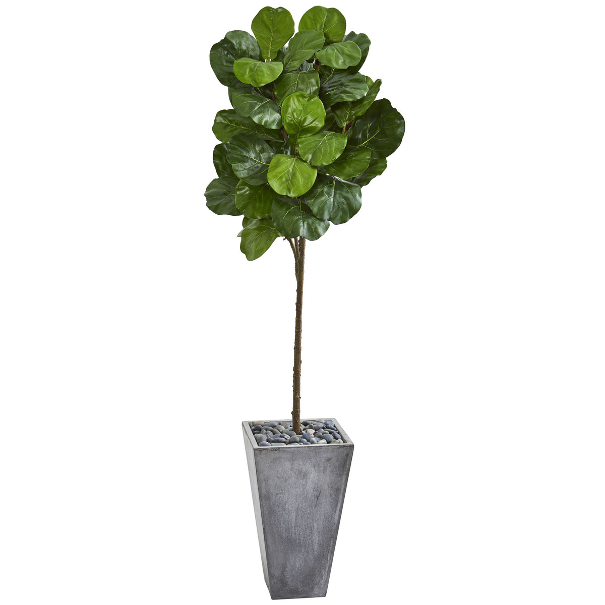 75" Fiddle Leaf Artificial Tree in Cement Planter by Nearly Natural