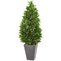 57" Bay Leaf Cone Topiary in Planter UV (Indoor/Outdoor) by Nearly Natural