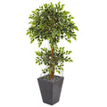 5' Variegated Ficus Artificial Tree in Slate Planter by Nearly Natural