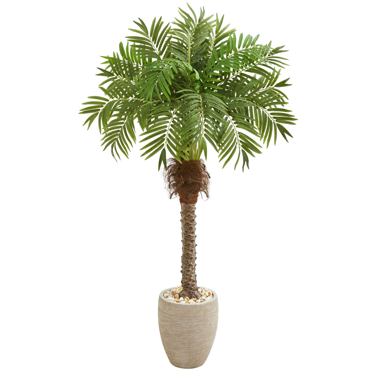 63" Robellini Palm Artificial Tree in Sandstone Planter by Nearly Natural