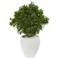 32" Peperomia Plant in White Planter UV Resist (Indr/Outdr) by Nearly Natural