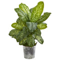 38" Dieffenbachia Artificial Plant in Planter (Real Touch) by Nearly Natural